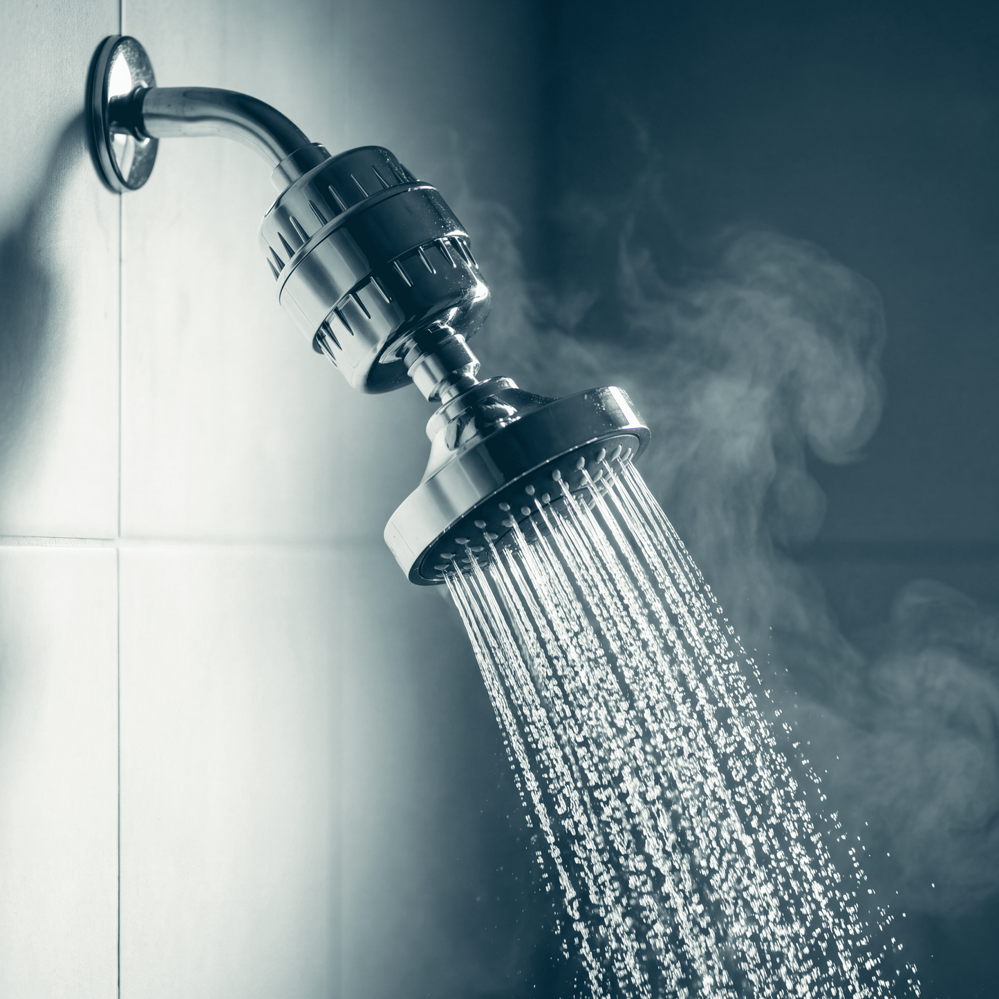 Filtered Shower Head AQUASSENCE™